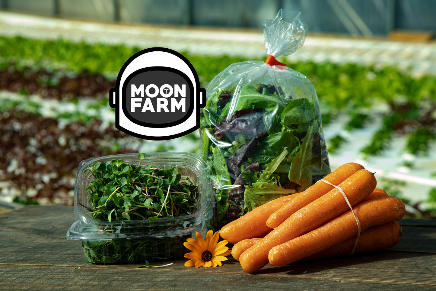 Fresh, Farm-Direct Produce Delivered to Your Door